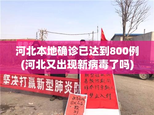 河北本地确诊已达到800例(河北又出现新病毒了吗)
