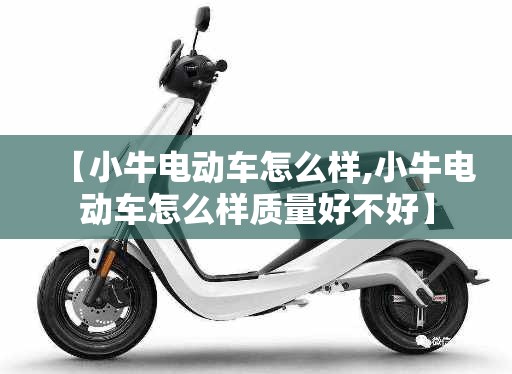 【小牛电动车怎么样,小牛电动车怎么样质量好不好】
