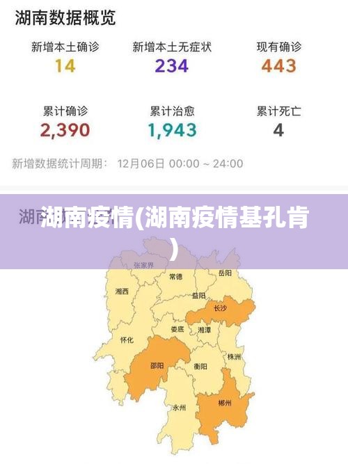 湖南疫情(湖南疫情基孔肯)