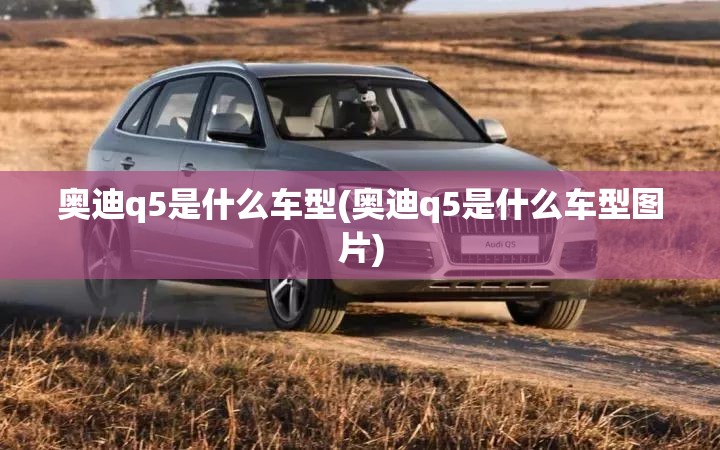 奥迪q5是什么车型(奥迪q5是什么车型图片)