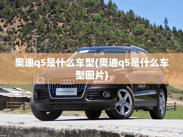 奥迪q5是什么车型(奥迪q5是什么车型图片) 奥迪q5是什么车型(奥迪q5是什么车型图片)