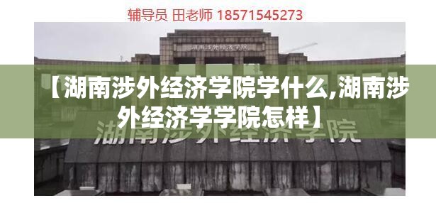 【湖南涉外经济学院学什么,湖南涉外经济学学院怎样】
