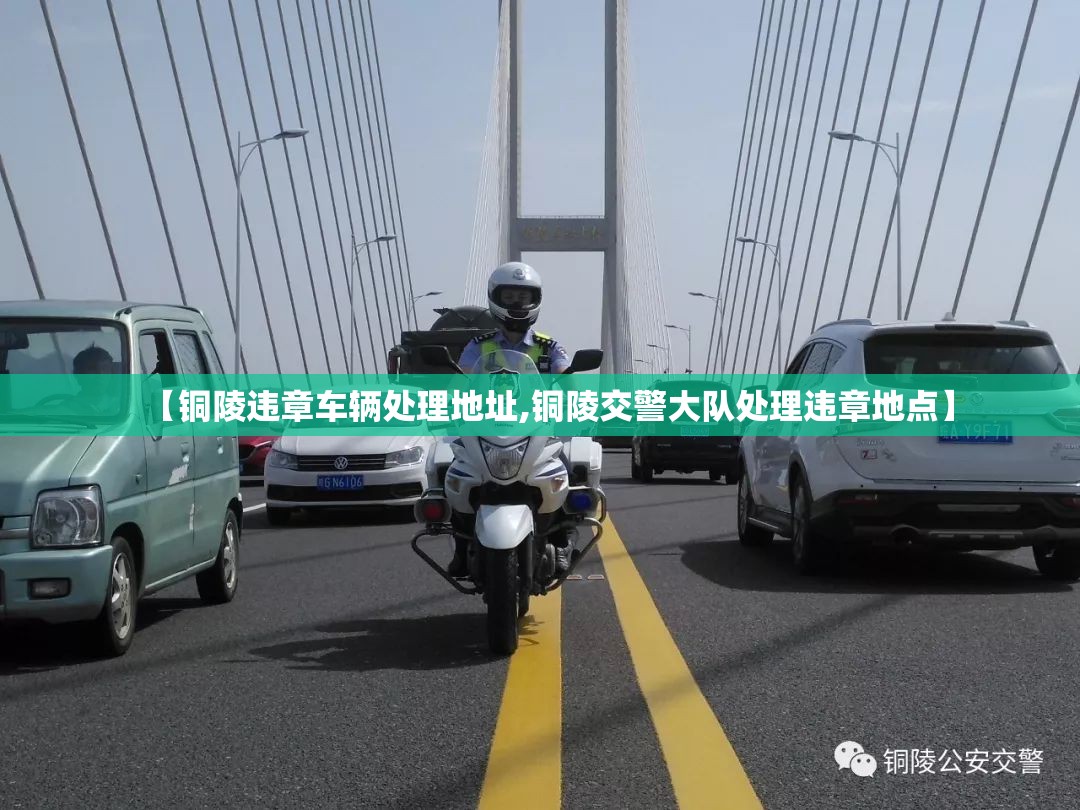 【铜陵违章车辆处理地址,铜陵交警大队处理违章地点】