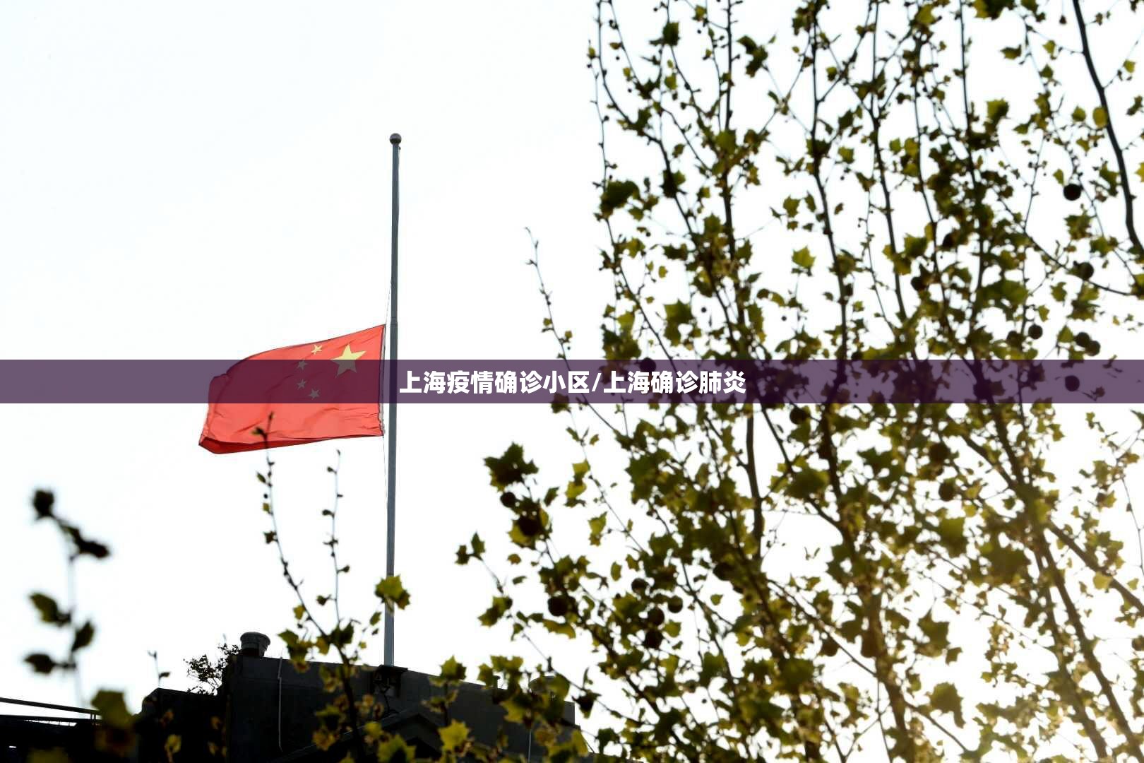上海疫情确诊小区/上海确诊肺炎