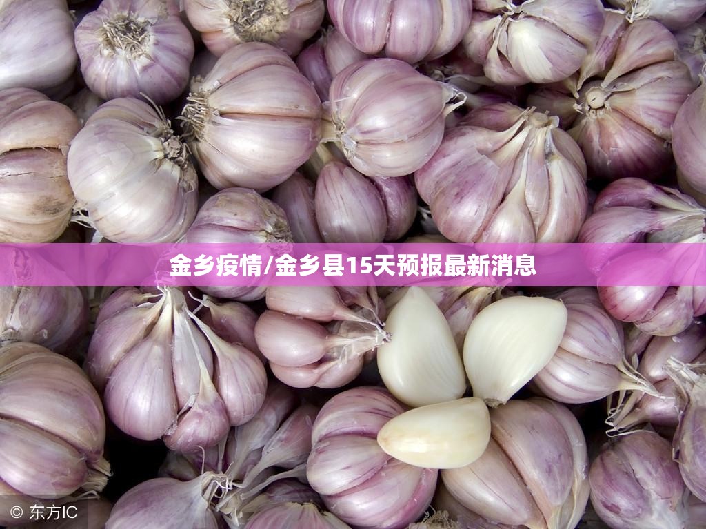 金乡疫情/金乡县15天预报最新消息