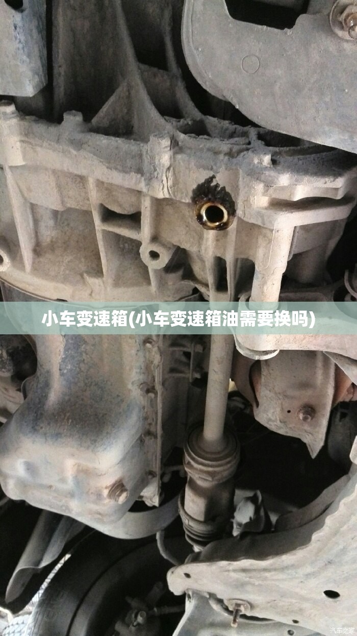 小车变速箱(小车变速箱油需要换吗) 小车变速箱(小车变速箱油需要换吗)