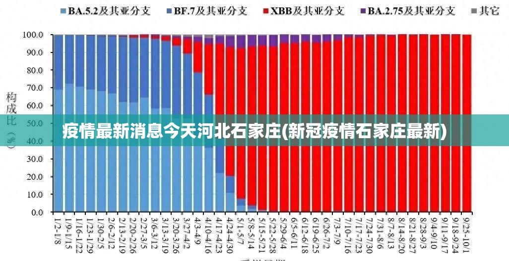 疫情最新消息今天河北石家庄(新冠疫情石家庄最新)