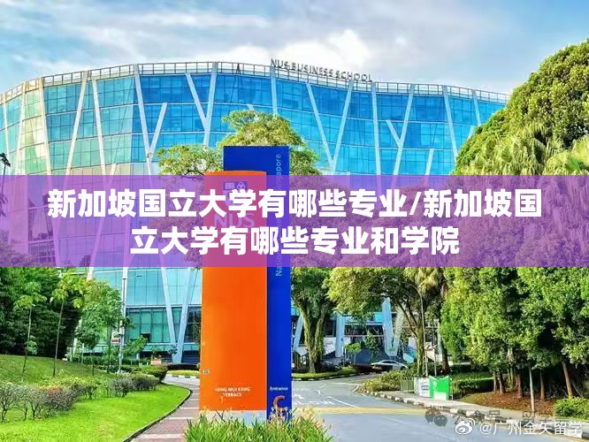 新加坡国立大学有哪些专业/新加坡国立大学有哪些专业和学院