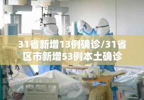 31省新增13例确诊/31省区市新增53例本土确诊