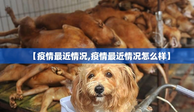 【疫情最近情况,疫情最近情况怎么样】