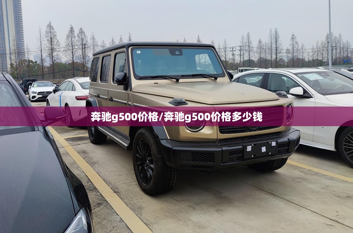 奔驰g500价格/奔驰g500价格多少钱