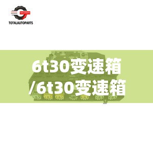 6t30变速箱/6t30变速箱电磁阀 6t30变速箱/6t30变速箱电磁阀