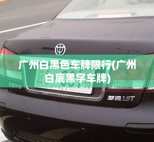 广州白黑色车牌限行(广州白底黑字车牌) 广州白黑色车牌限行(广州白底黑字车牌)