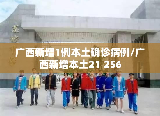广西新增1例本土确诊病例/广西新增本土21 256