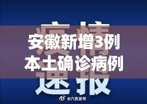 安徽新增3例本土确诊病例(安徽新冠最新消息2021)