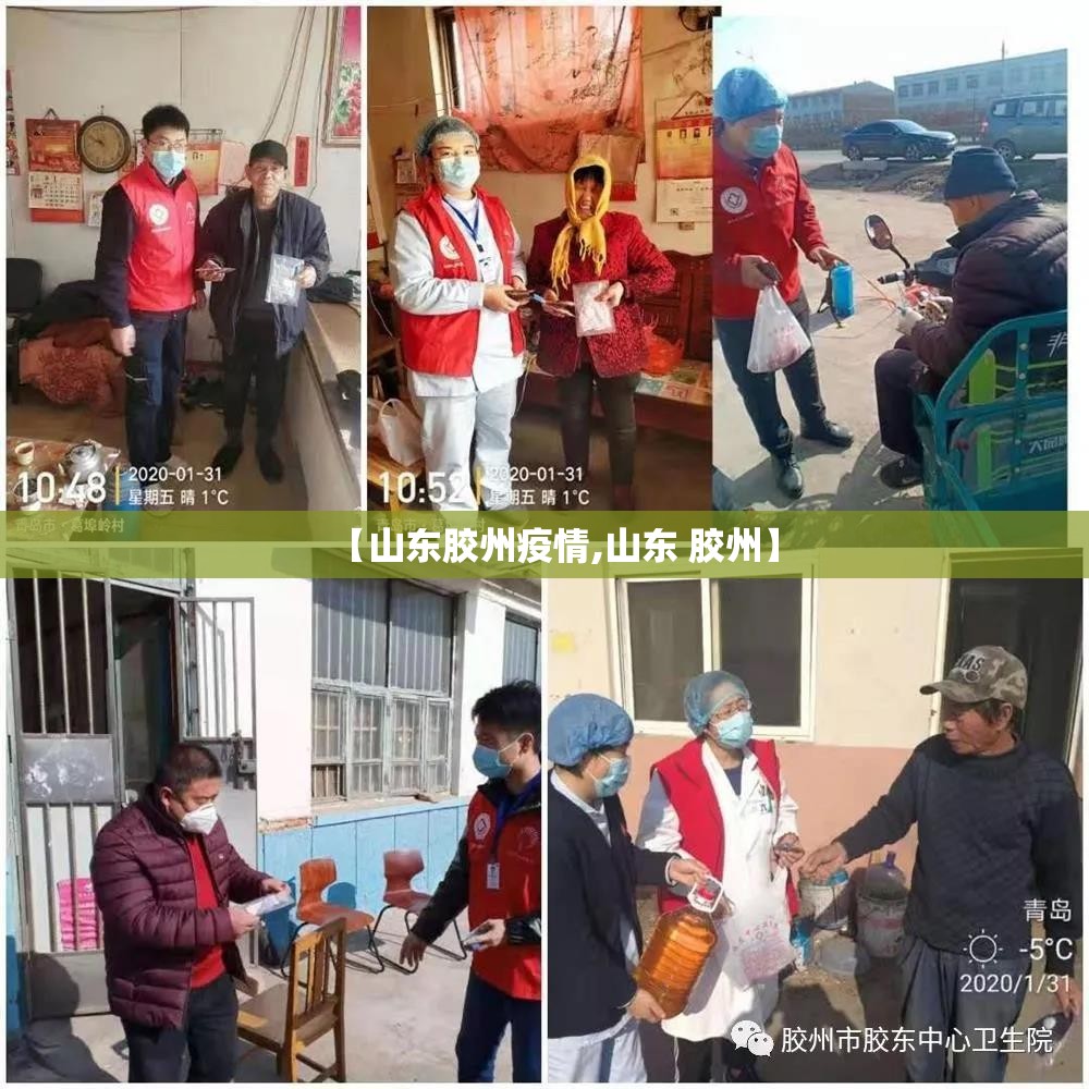 【山东胶州疫情,山东 胶州】