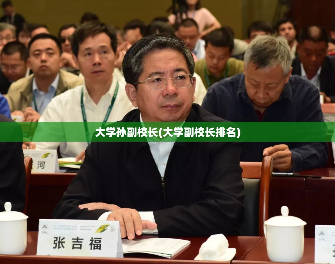 大学孙副校长(大学副校长排名)