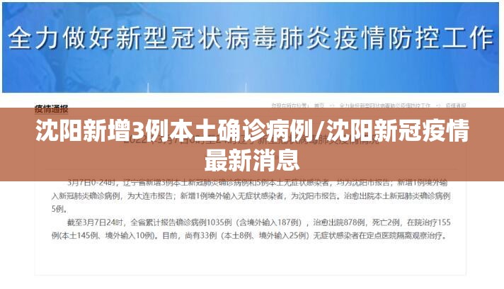 沈阳新增3例本土确诊病例/沈阳新冠疫情最新消息