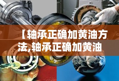 【轴承正确加黄油方法,轴承正确加黄油方法图片】