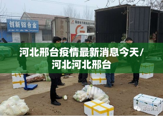 河北邢台疫情最新消息今天/河北河北邢台 河北邢台疫情最新消息今天/河北河北邢台