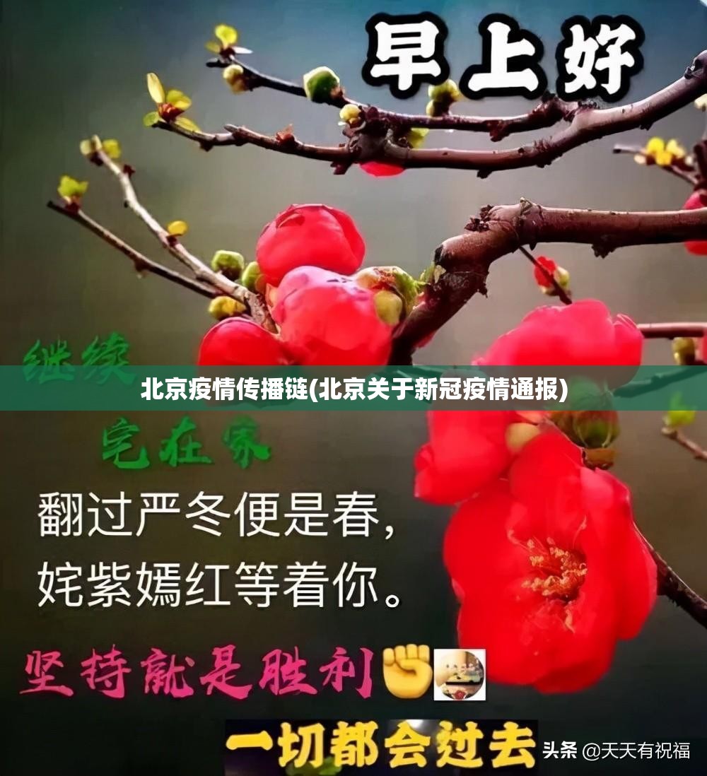 北京疫情传播链(北京关于新冠疫情通报) 北京疫情传播链(北京关于新冠疫情通报)