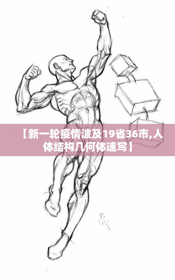 【新一轮疫情波及19省36市,人体结构几何体速写】 【新一轮疫情波及19省36市,人体结构几何体速写】