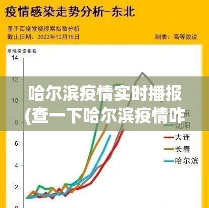 哈尔滨疫情实时播报(查一下哈尔滨疫情咋样了)