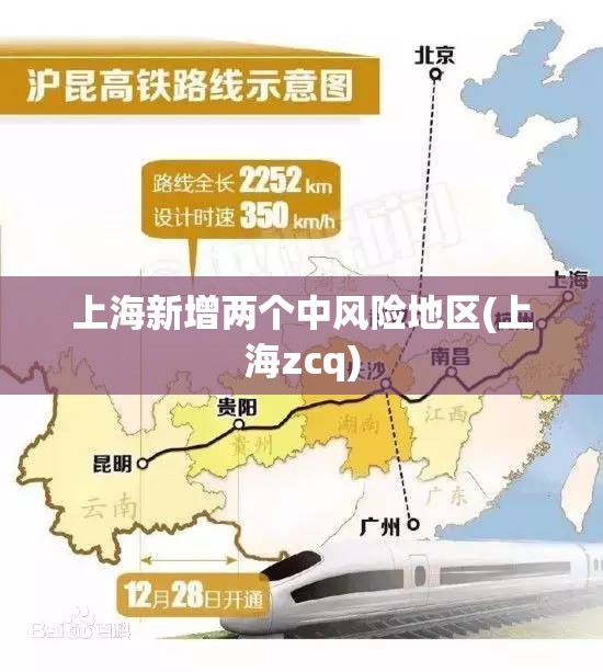 上海新增两个中风险地区(上海zcq)