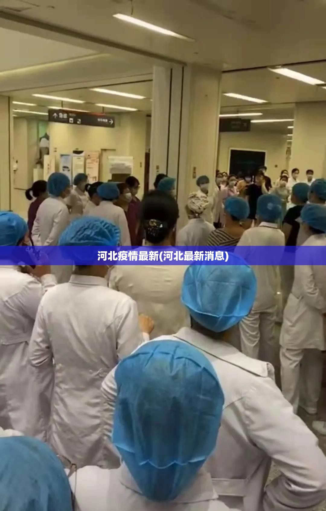 河北疫情最新(河北最新消息)