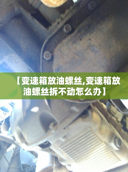 【变速箱放油螺丝,变速箱放油螺丝拆不动怎么办】