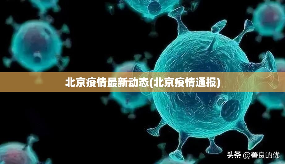 北京疫情最新动态(北京疫情通报) 北京疫情最新动态(北京疫情通报)