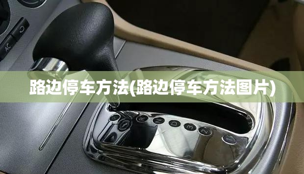路边停车方法(路边停车方法图片)