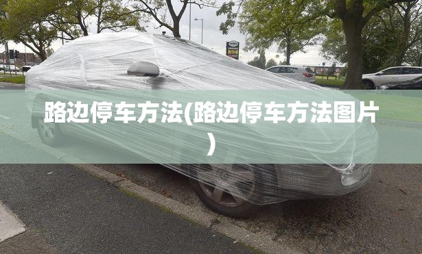 路边停车方法(路边停车方法图片)