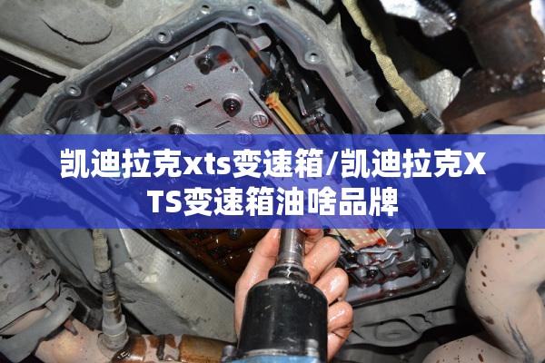 凯迪拉克xts变速箱/凯迪拉克XTS变速箱油啥品牌 凯迪拉克xts变速箱/凯迪拉克XTS变速箱油啥品牌