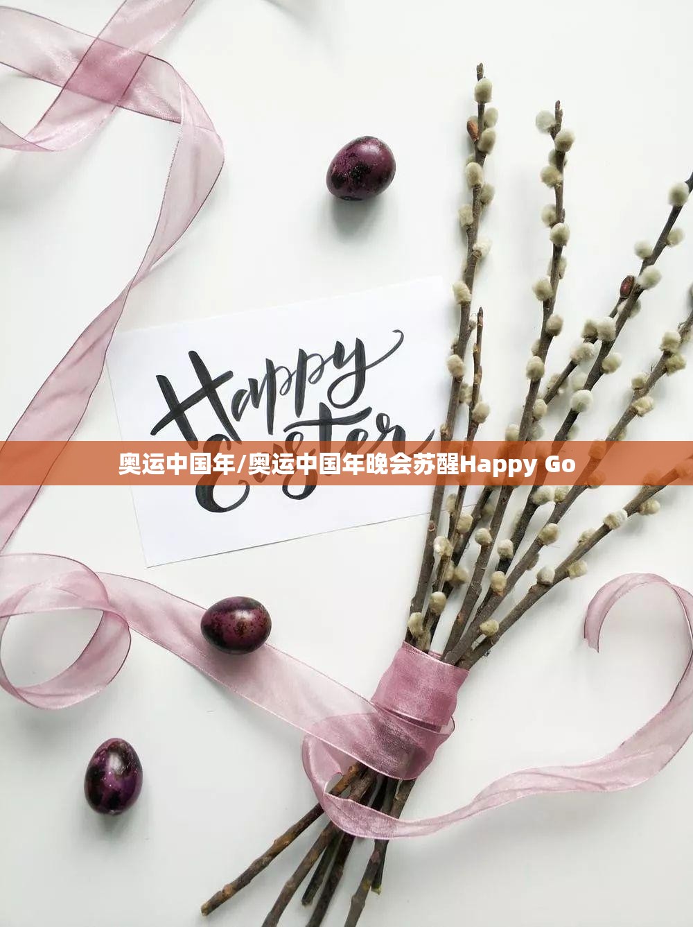 奥运中国年/奥运中国年晚会苏醒Happy Go 奥运中国年/奥运中国年晚会苏醒Happy Go