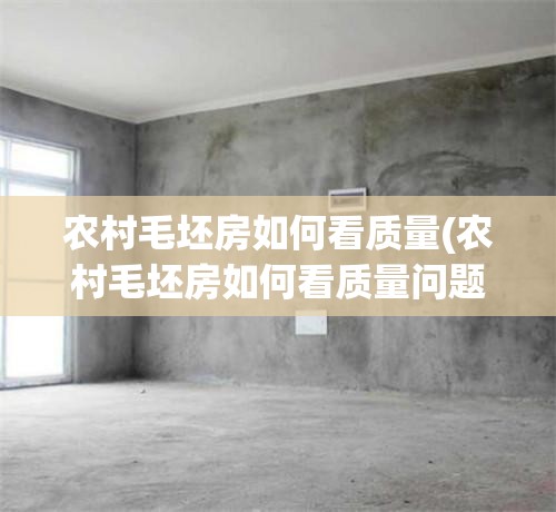 农村毛坯房如何看质量(农村毛坯房如何看质量问题)