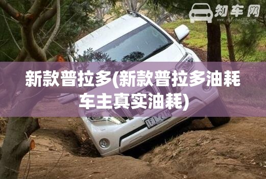 新款普拉多(新款普拉多油耗车主真实油耗) 新款普拉多(新款普拉多油耗车主真实油耗)