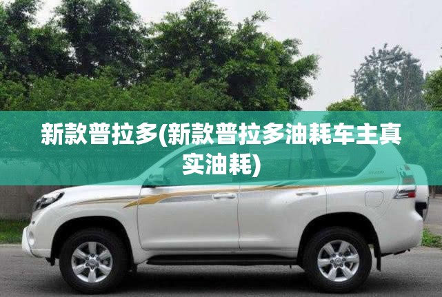新款普拉多(新款普拉多油耗车主真实油耗) 新款普拉多(新款普拉多油耗车主真实油耗)