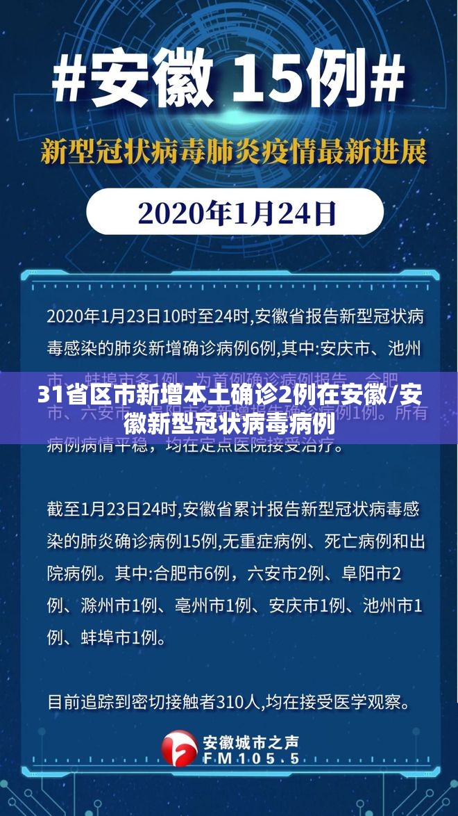 31省区市新增本土确诊2例在安徽/安徽新型冠状病毒病例