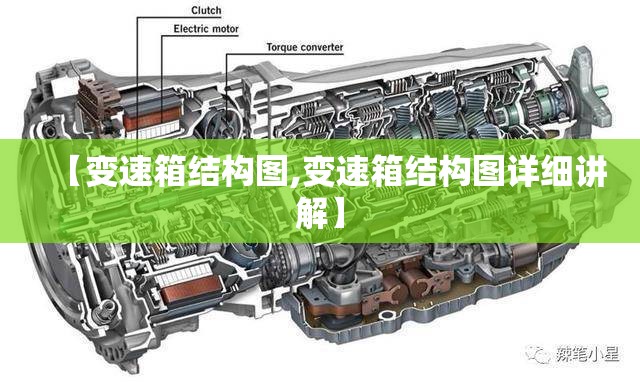 【变速箱结构图,变速箱结构图详细讲解】