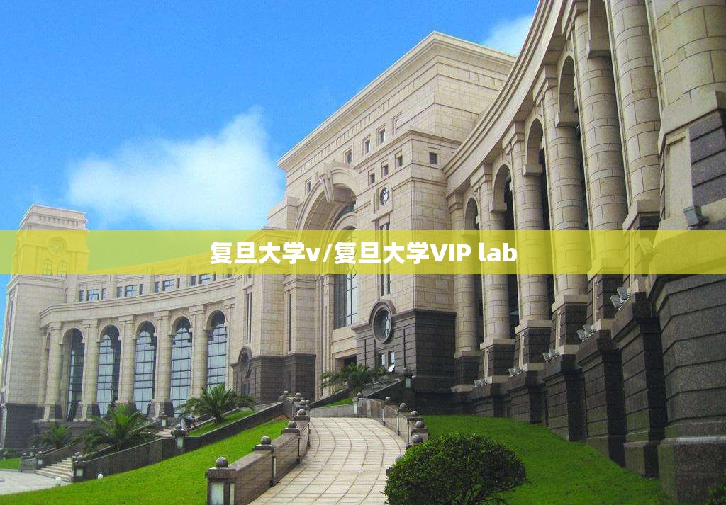 复旦大学v/复旦大学VIP lab