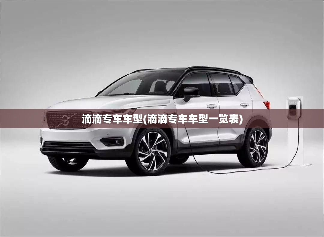滴滴专车车型(滴滴专车车型一览表)