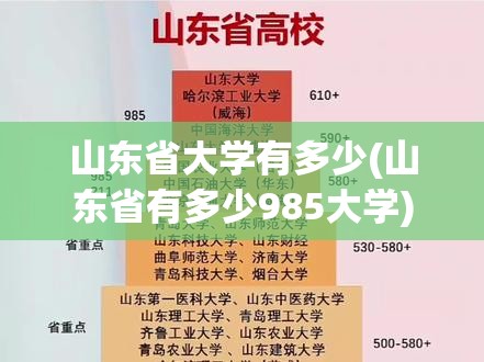 山东省大学有多少(山东省有多少985大学)