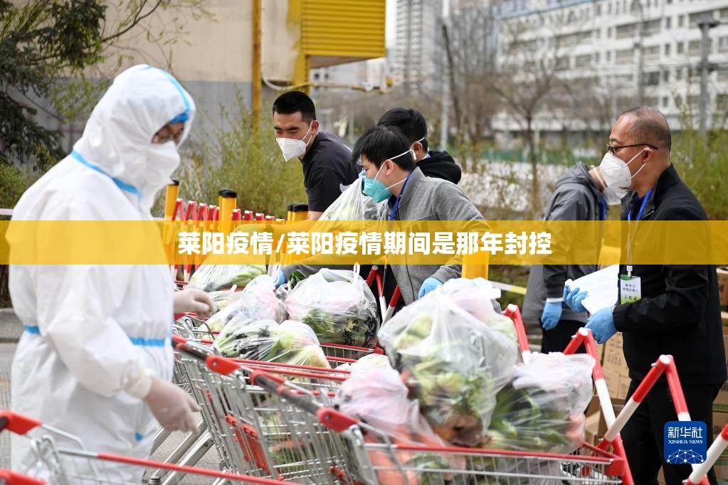 莱阳疫情/莱阳疫情期间是那年封控
