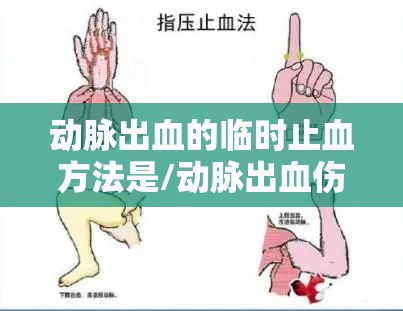 动脉出血的临时止血方法是/动脉出血伤员止血时拇指压住伤口什么位置
