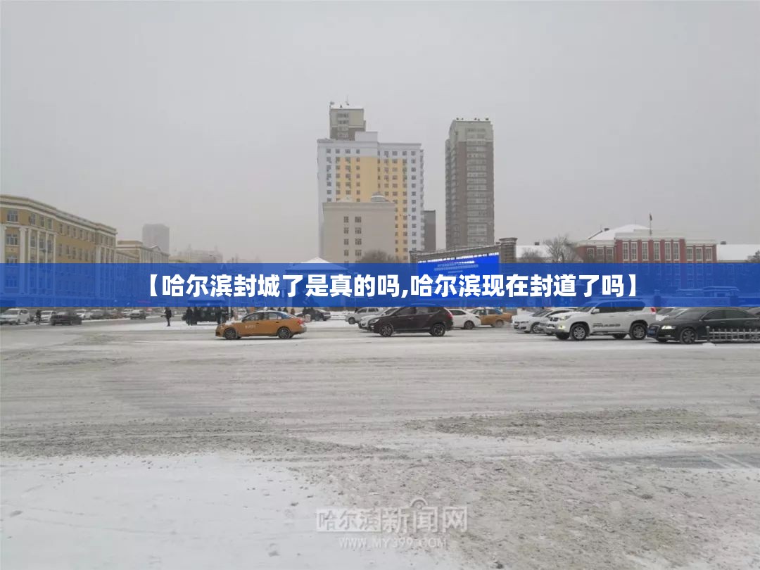 【哈尔滨封城了是真的吗,哈尔滨现在封道了吗】 【哈尔滨封城了是真的吗,哈尔滨现在封道了吗】