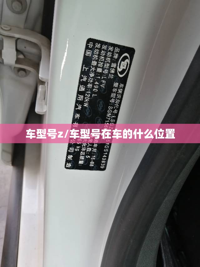 车型号z/车型号在车的什么位置