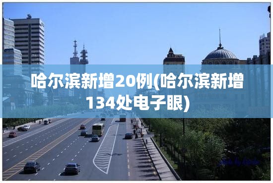 哈尔滨新增20例(哈尔滨新增134处电子眼)