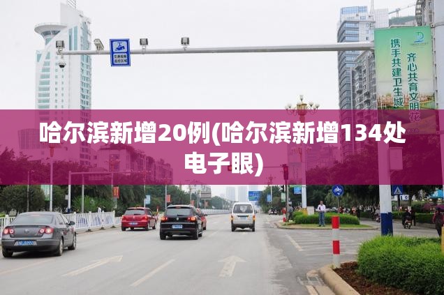 哈尔滨新增20例(哈尔滨新增134处电子眼) 哈尔滨新增20例(哈尔滨新增134处电子眼)