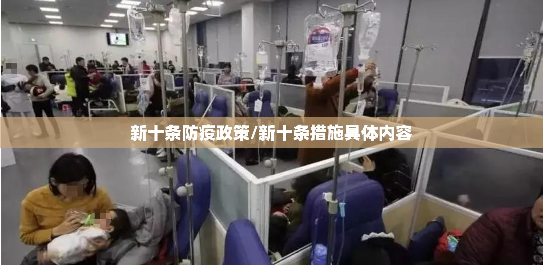 新十条防疫政策/新十条措施具体内容